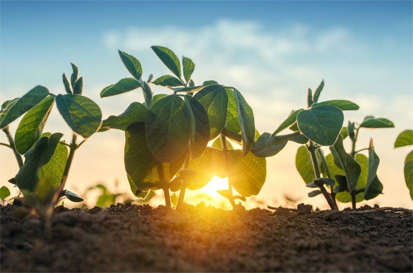 Why a development "stay-cation" makes sense